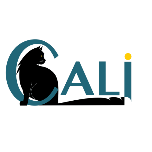 Cali Intelligences